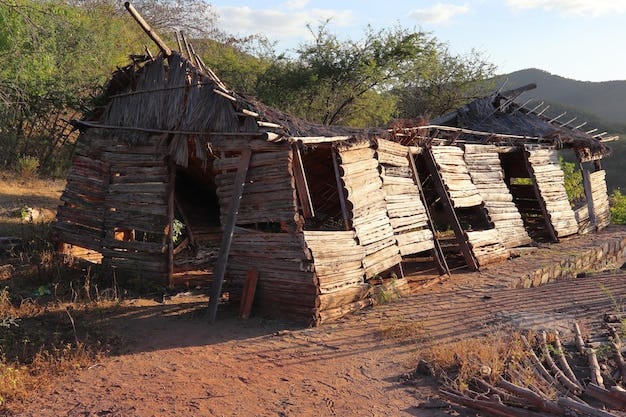 Premium Photo | An old abandoned shack built out of cactus wood about to  collapse.
