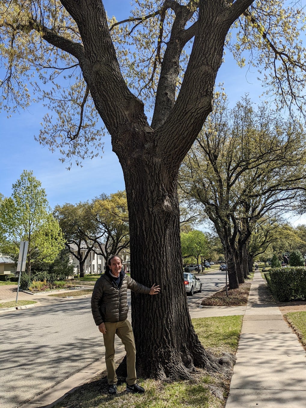 a man in a green jacket and khakis smiles while touching a large tree, on the sidewalk of a residential neighborhood