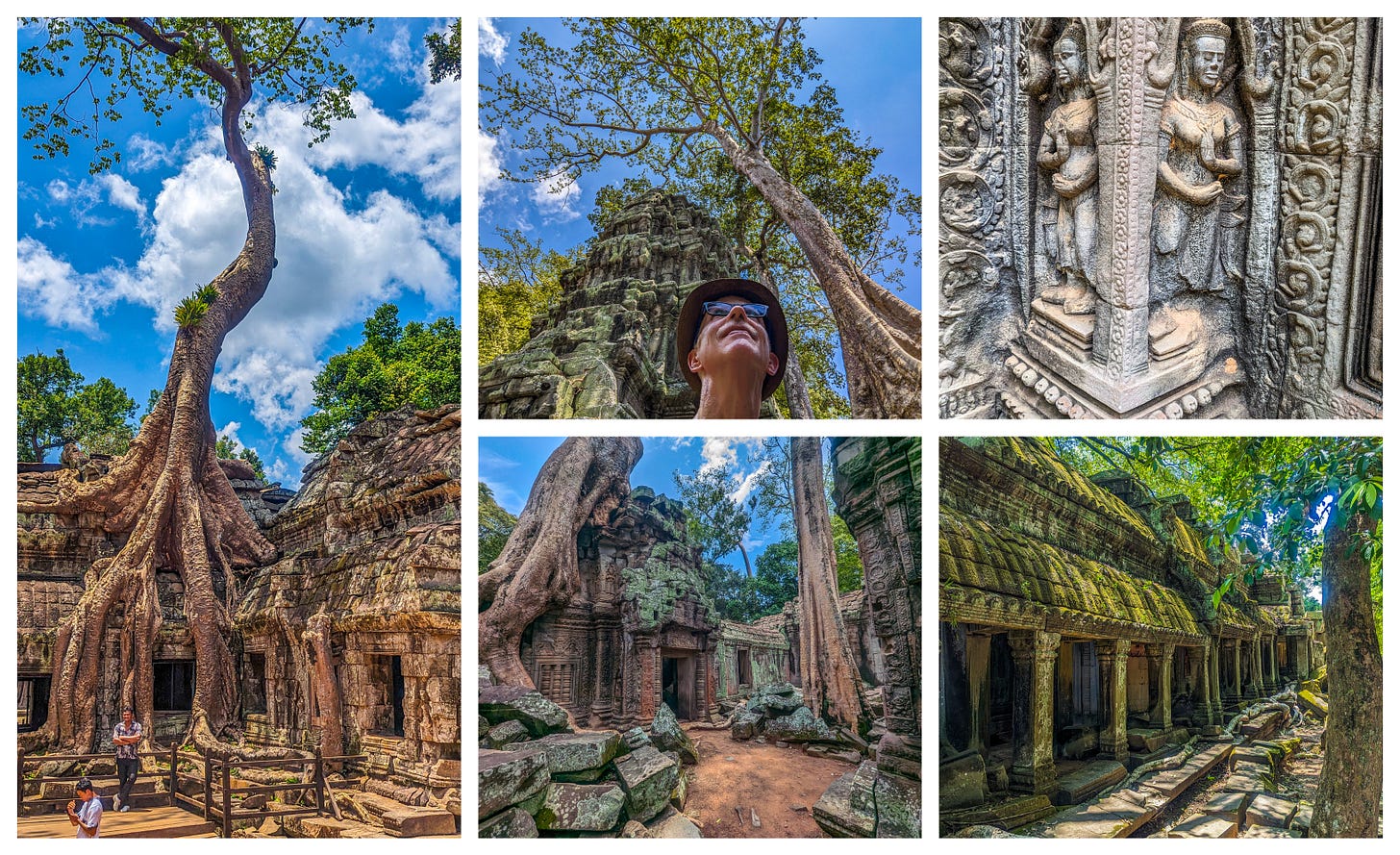 Collage of pictures showing a strangler fig growing out of a temple, Michael looking up at strangler fig, the outside of a gallery covered with green lichen, and a carving of two figures holding their hands in front of them. 