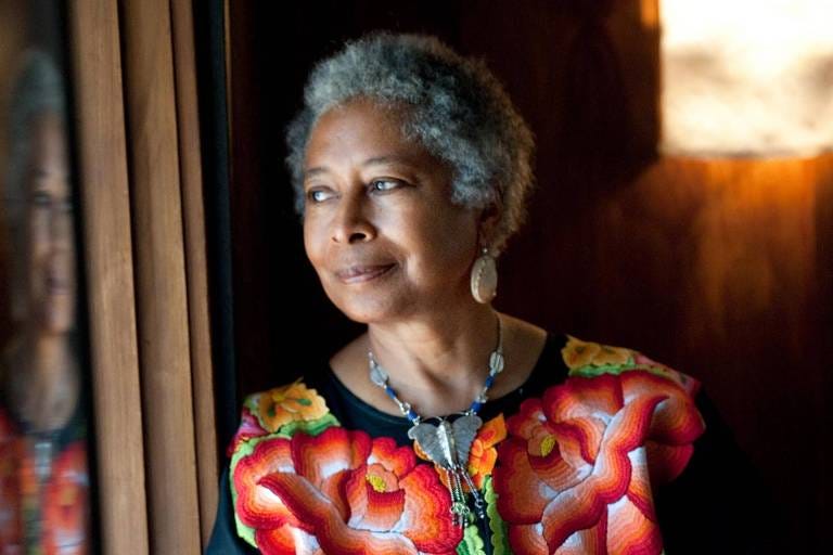 Alice Walker explora as tensões entre o racismo e a violência de gênero -  19/12/2020 - Ilustrada - Folha