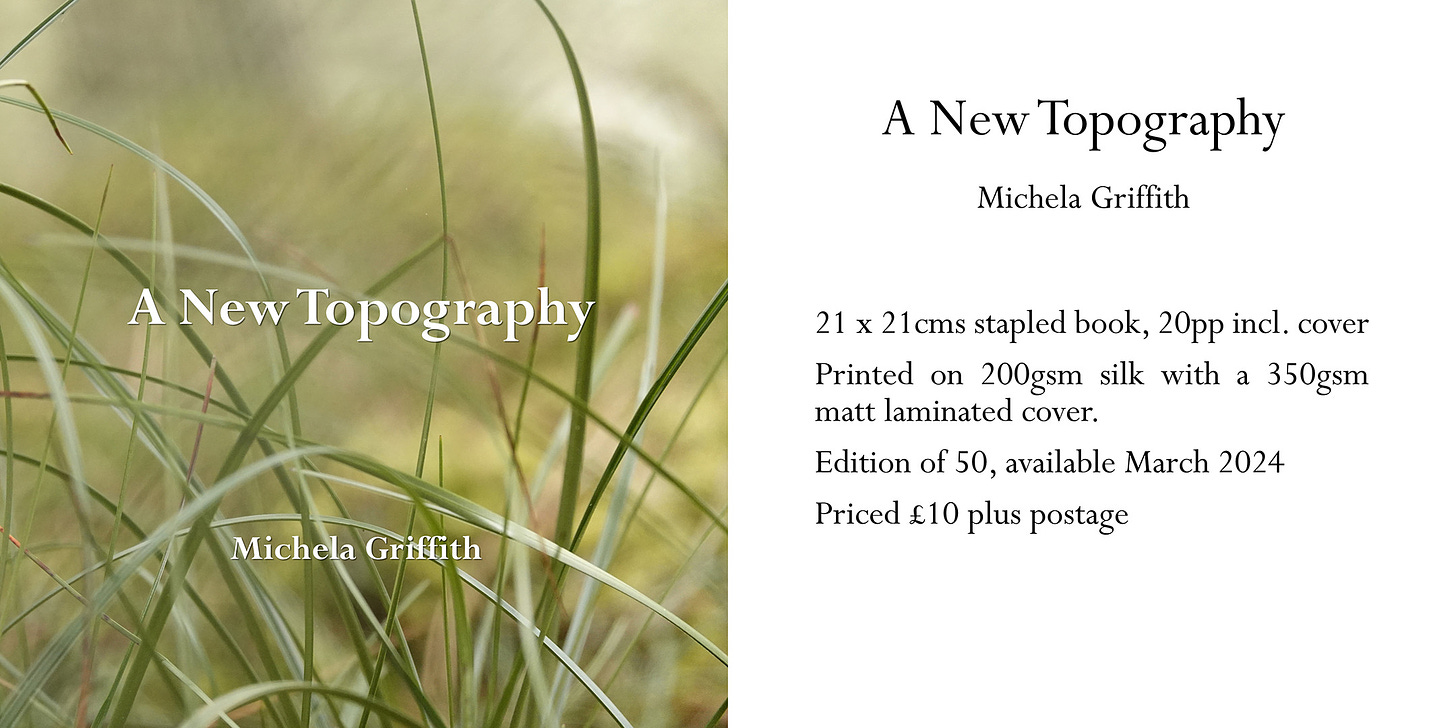 Cover and details for A New Topography book by Michela Griffith
