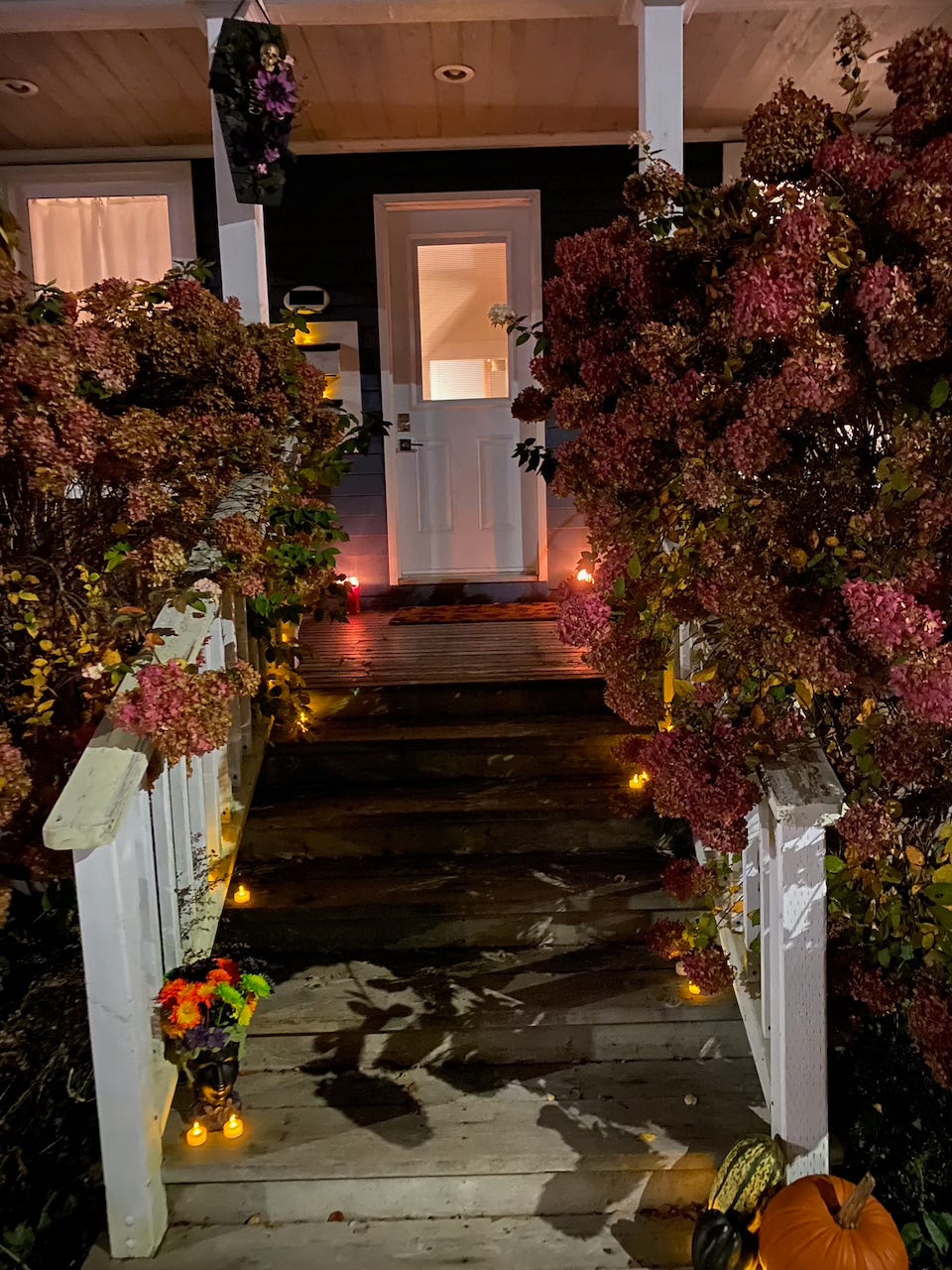 Wooden front steps lead up to the door of a house. Two giant hydrangea bushes spill their dying flowers over the white wooden railings. Pumpkins and autumn mums decorate the bottom steps, and there are candles leading up them to the door.
