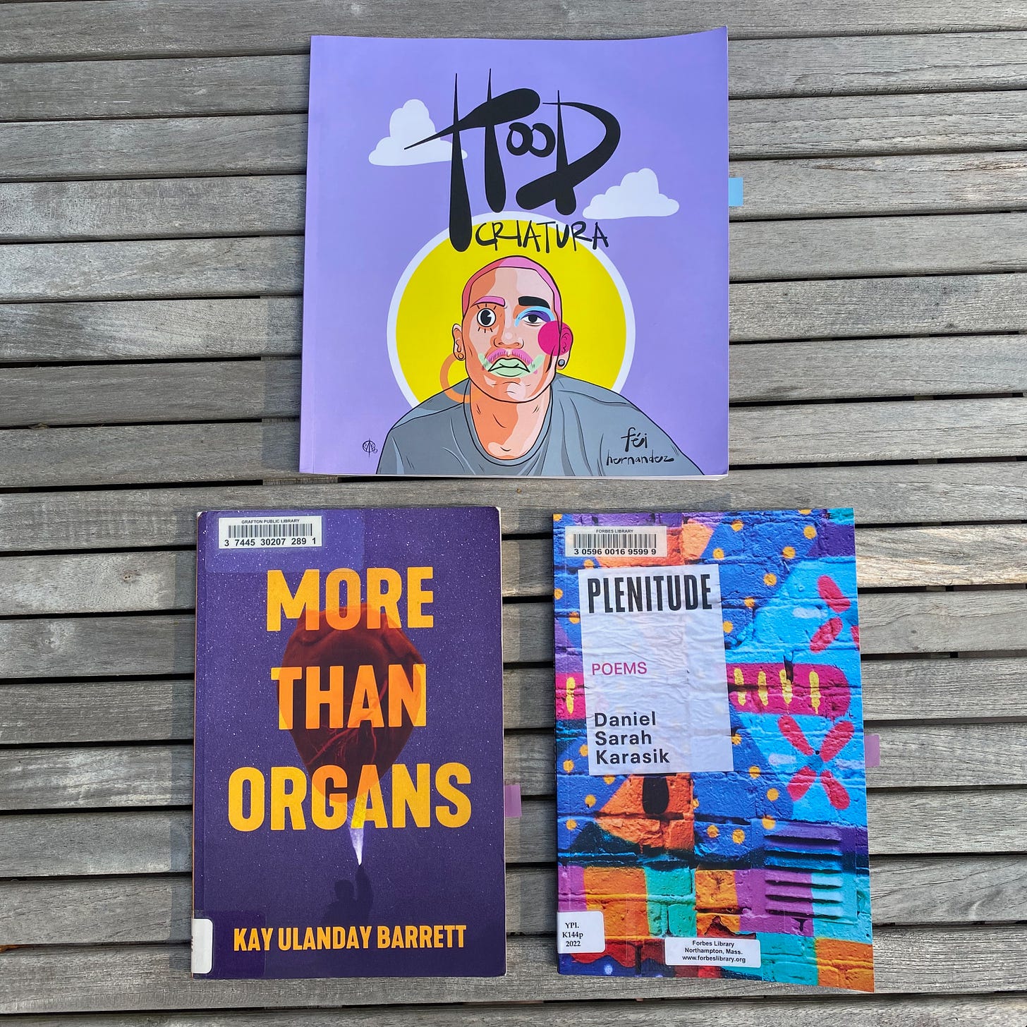 More Than Organs by Kay Ulanday Barrett, Plentitude by Daniel Sarah Karasik, and Hood Criatura by féi hernandez lie flat on a porch table.
