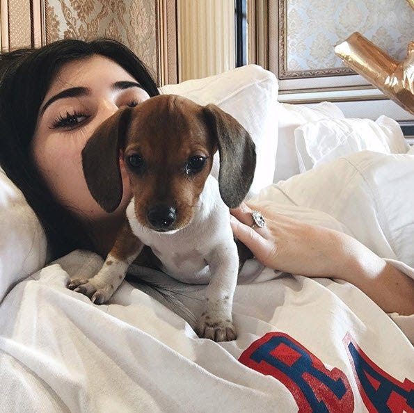 kylie jenner birthday dog