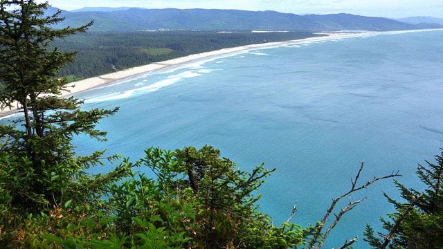 View from the trail along Cape Lookout 