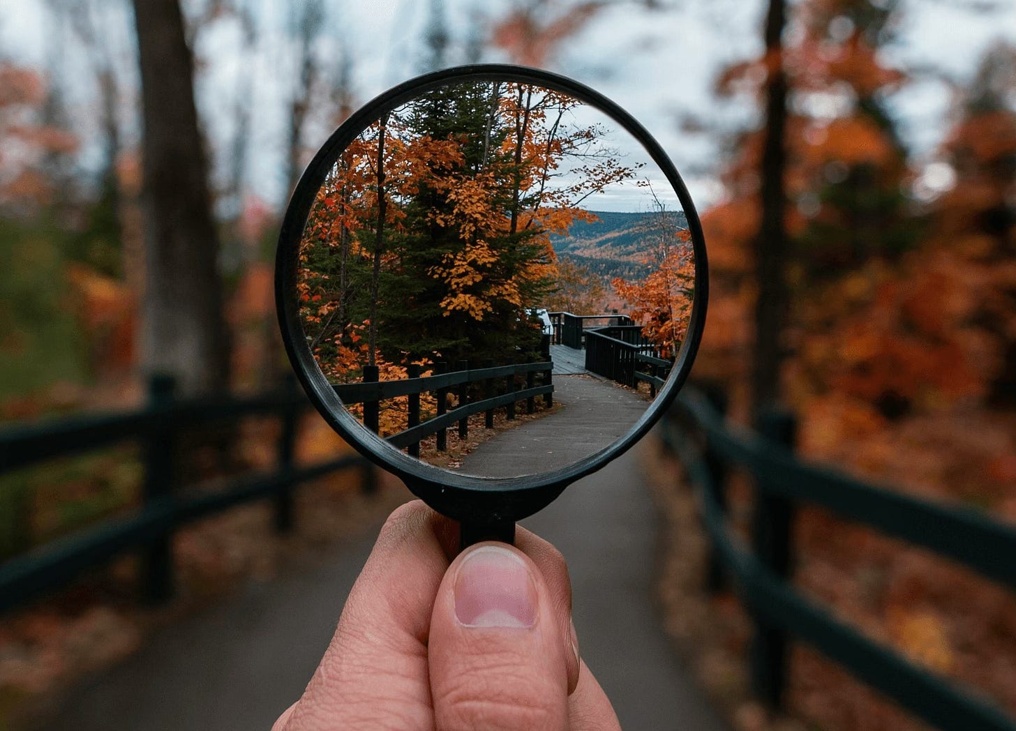 Magnifying glass bringing outdoor path into focus