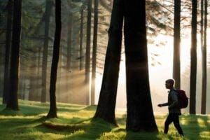 Man on a nature walk in the woods