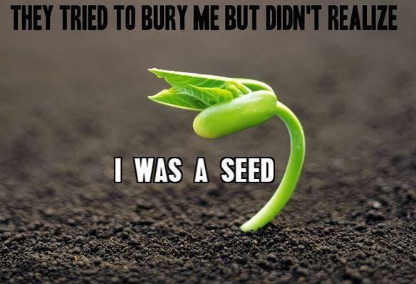 seed