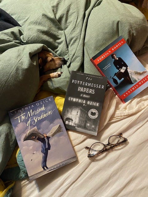 A chihuahua tucked under a blanket next to copies of The Messiah of Stockholm, The Puttermesser Papers, and Foreign Bodies by Cynthia Ozick