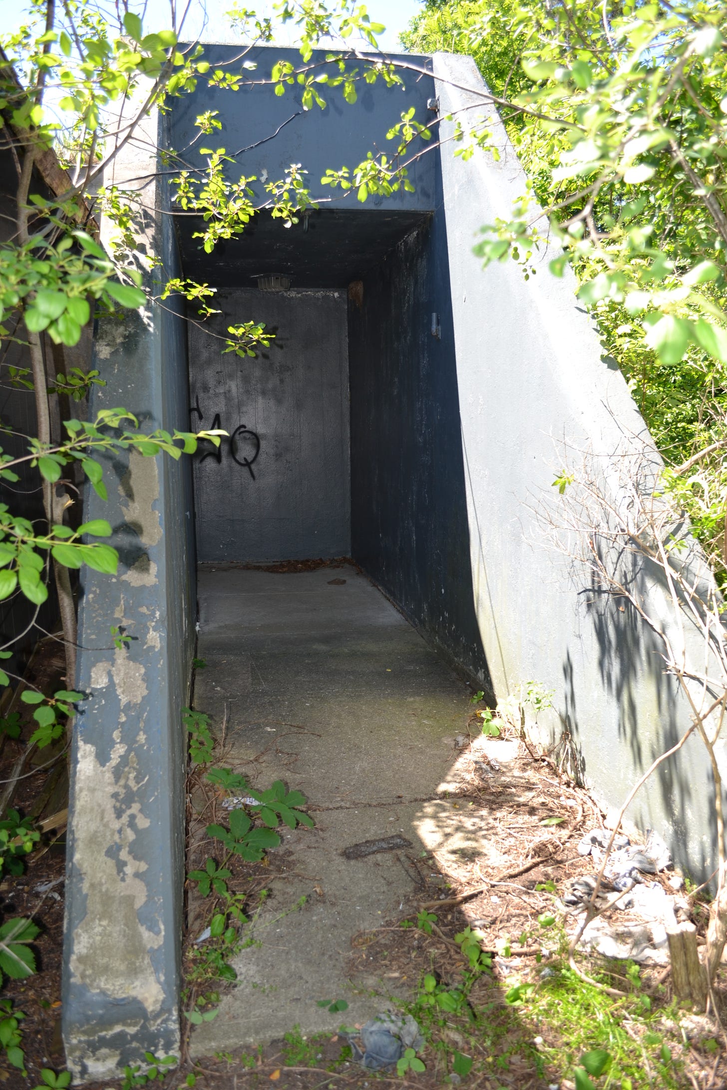 Concrete entrance to stairwell down into the Waterloo County bunker