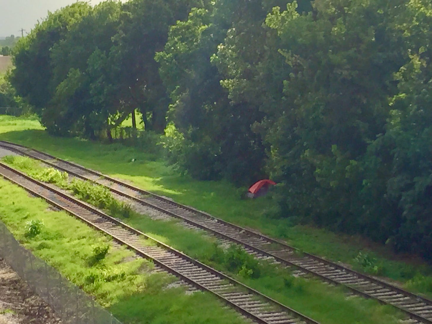 Trees along train tracks with a small red tent