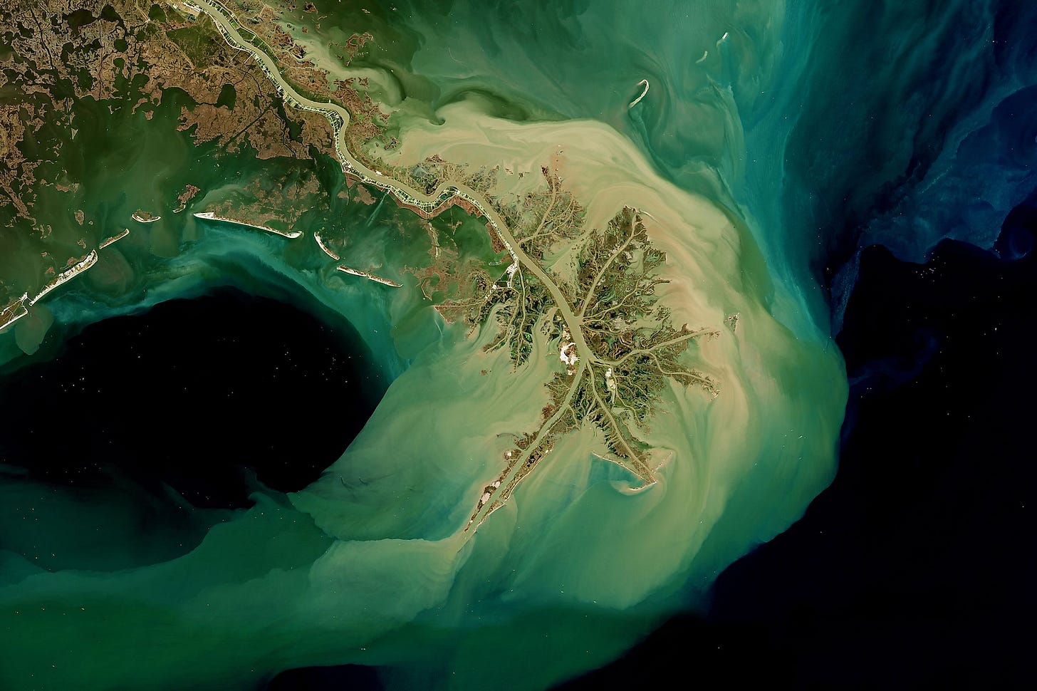 Mississippi River Delta - WorldAtlas
