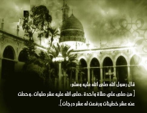 nabi2007 nabi2007