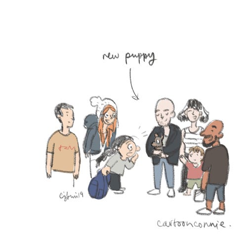 sketchbook drawing, new puppy sketchbook, drawing, illustration, connie sun, cartoonconnie, cartooning, comics