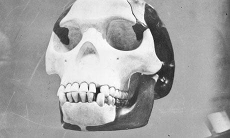 Skull of the famous hoax Piltdown Man