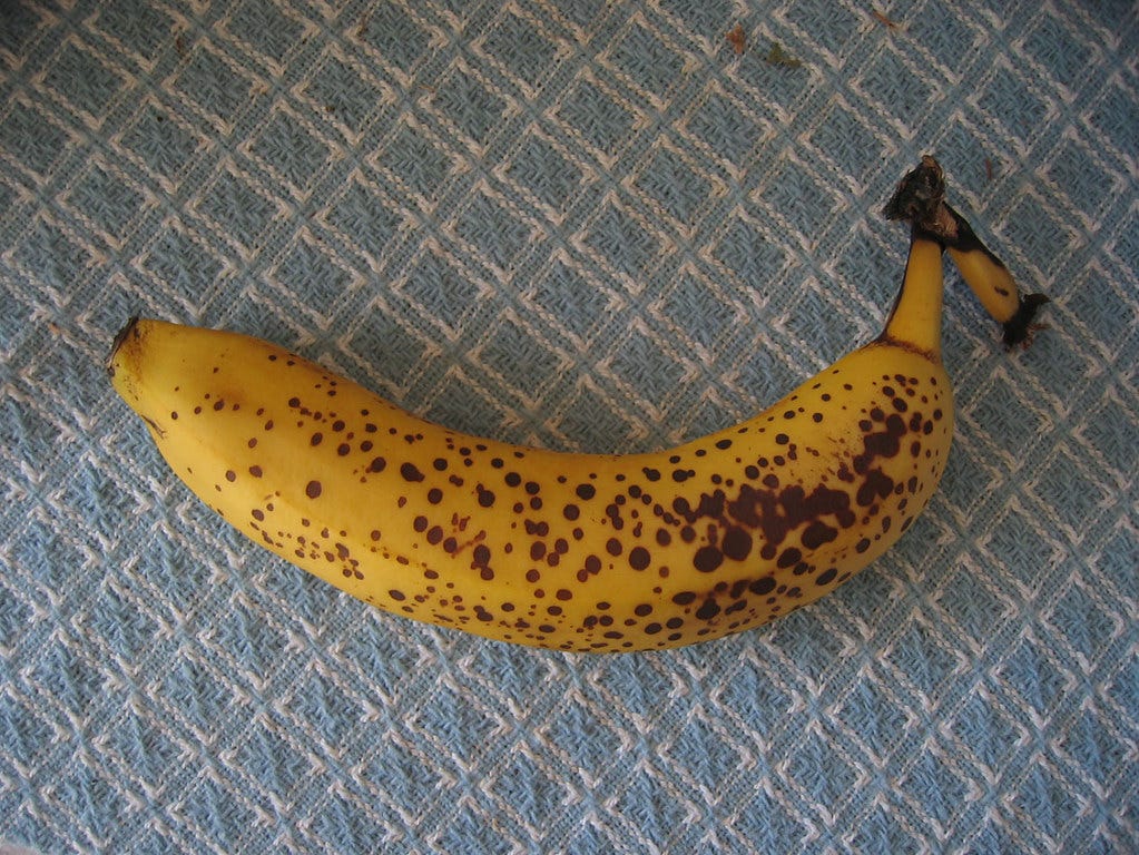 a very ripe banana on a blue and white checked tablecloth. "Banana!" by aphasiafilms is licensed under CC BY-NC-ND 2.0. 