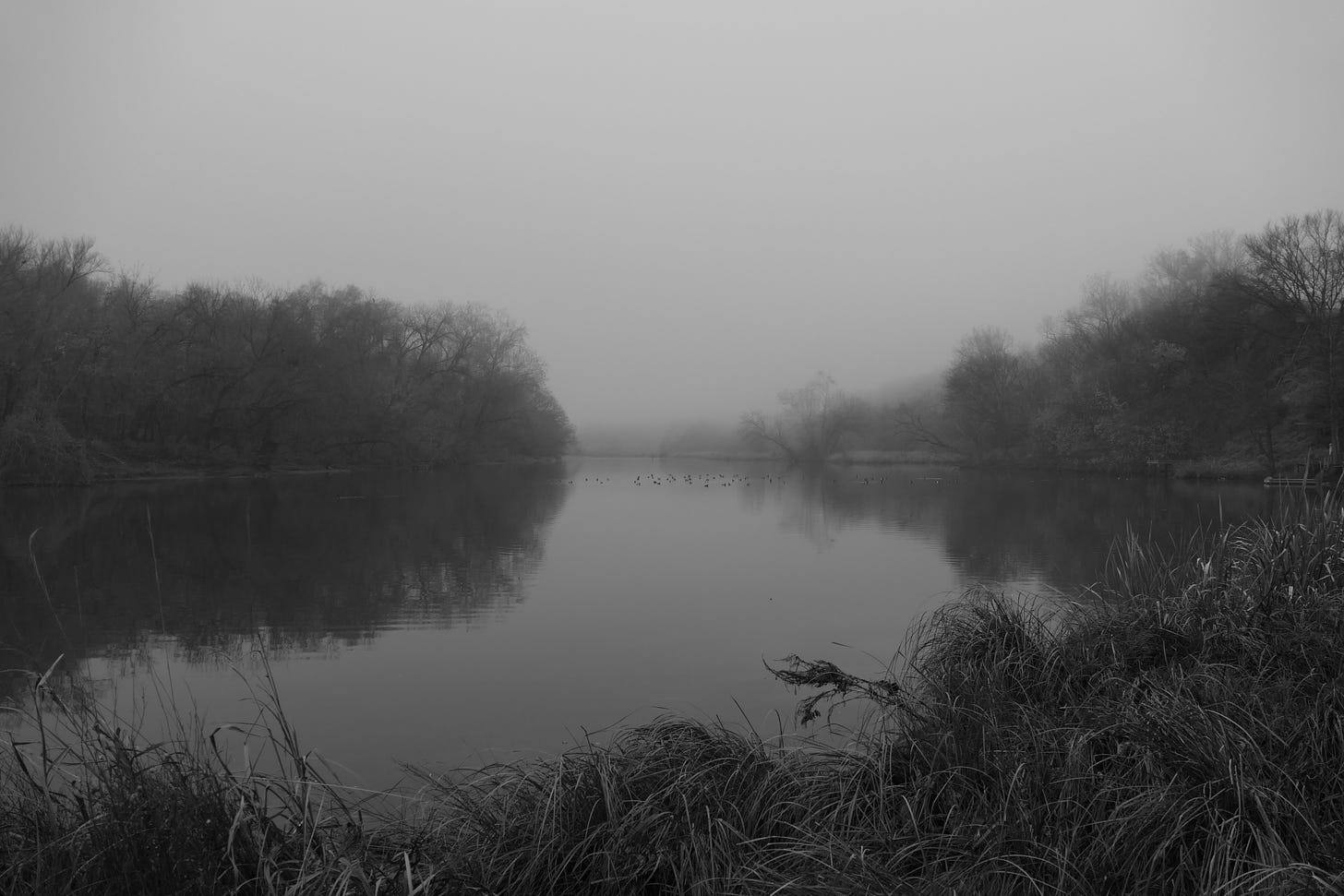Black and white photo of river in fog, with water grass, trees, ducks, and the very faint profiles of two human figures