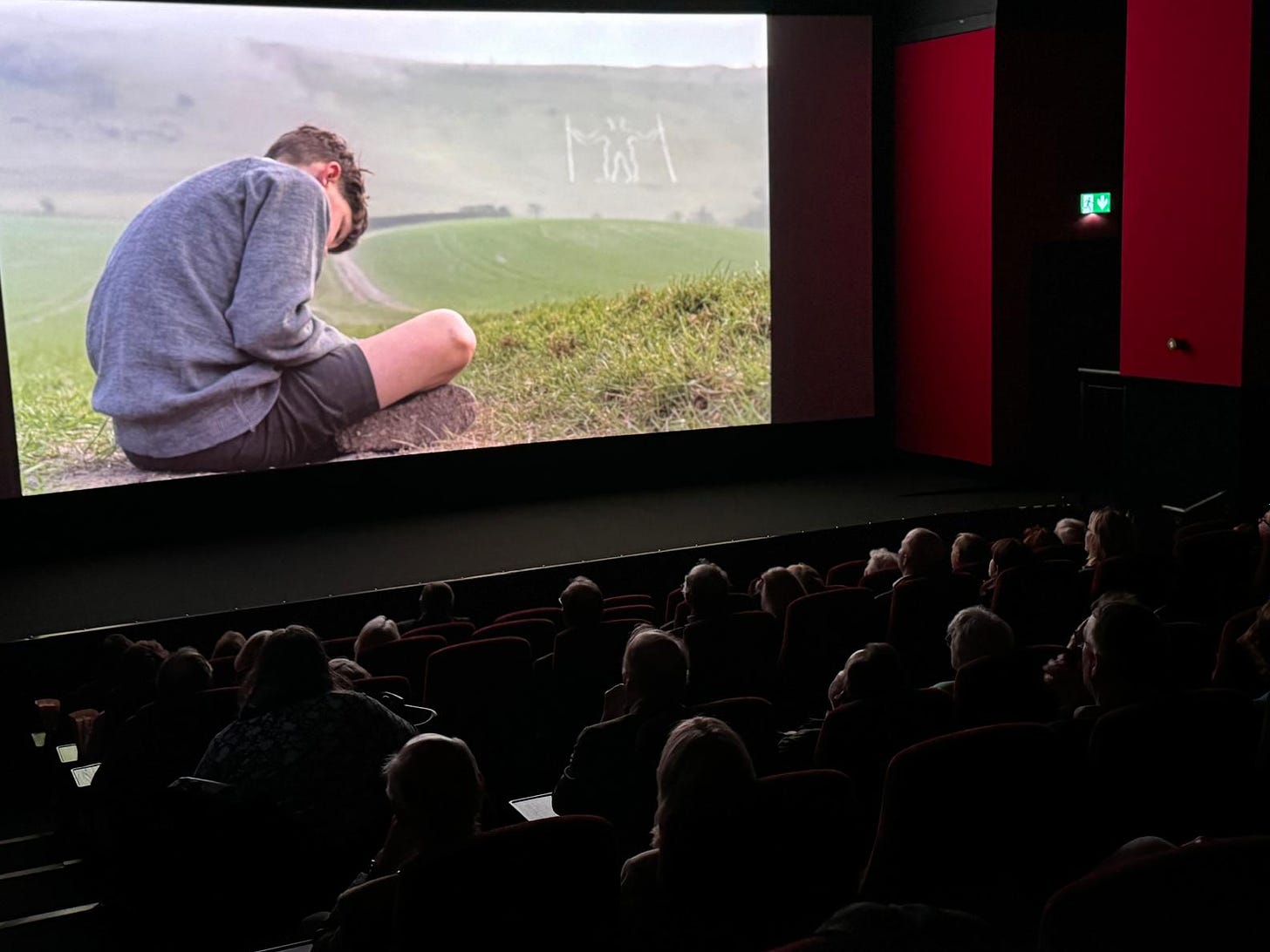 A movie theater with a large screen

Description automatically generated