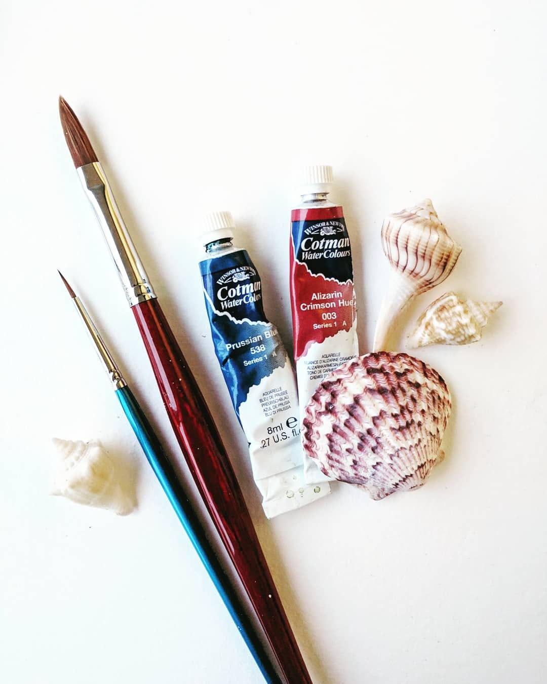 watercolor brushes and paints with seashells