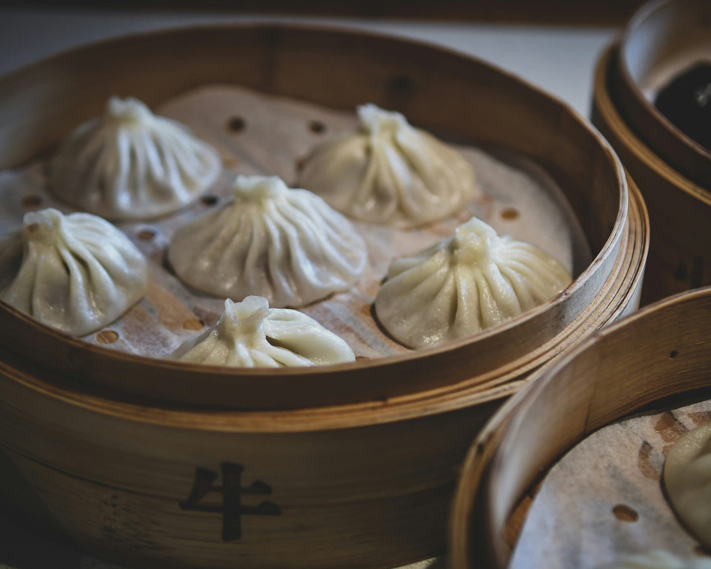 dumplings in a steamer