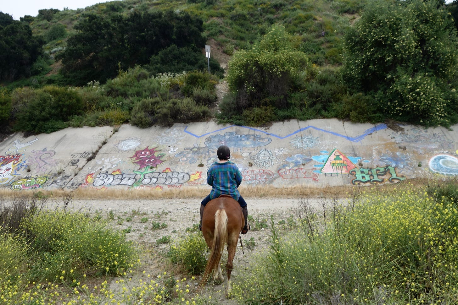 Ellie rides a horse, facing away from the camera, while wearing a flannel shirt and a helmet. Ellie and the horse face a graffitied concrete wall and are surrounded by brush.