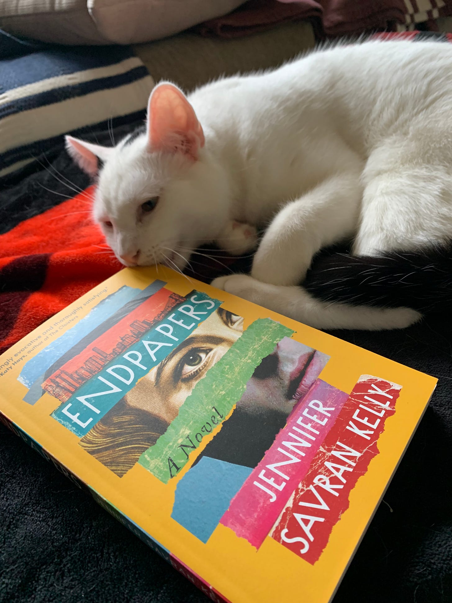 A white cat with black spots chewing on the top right corner of a copy of ENDPAPERS. On the book cover is a collage of a person's face made from torn horizontal strips of colorful paper and photographs. The top half of the face is feminine and the bottom half is masculine.