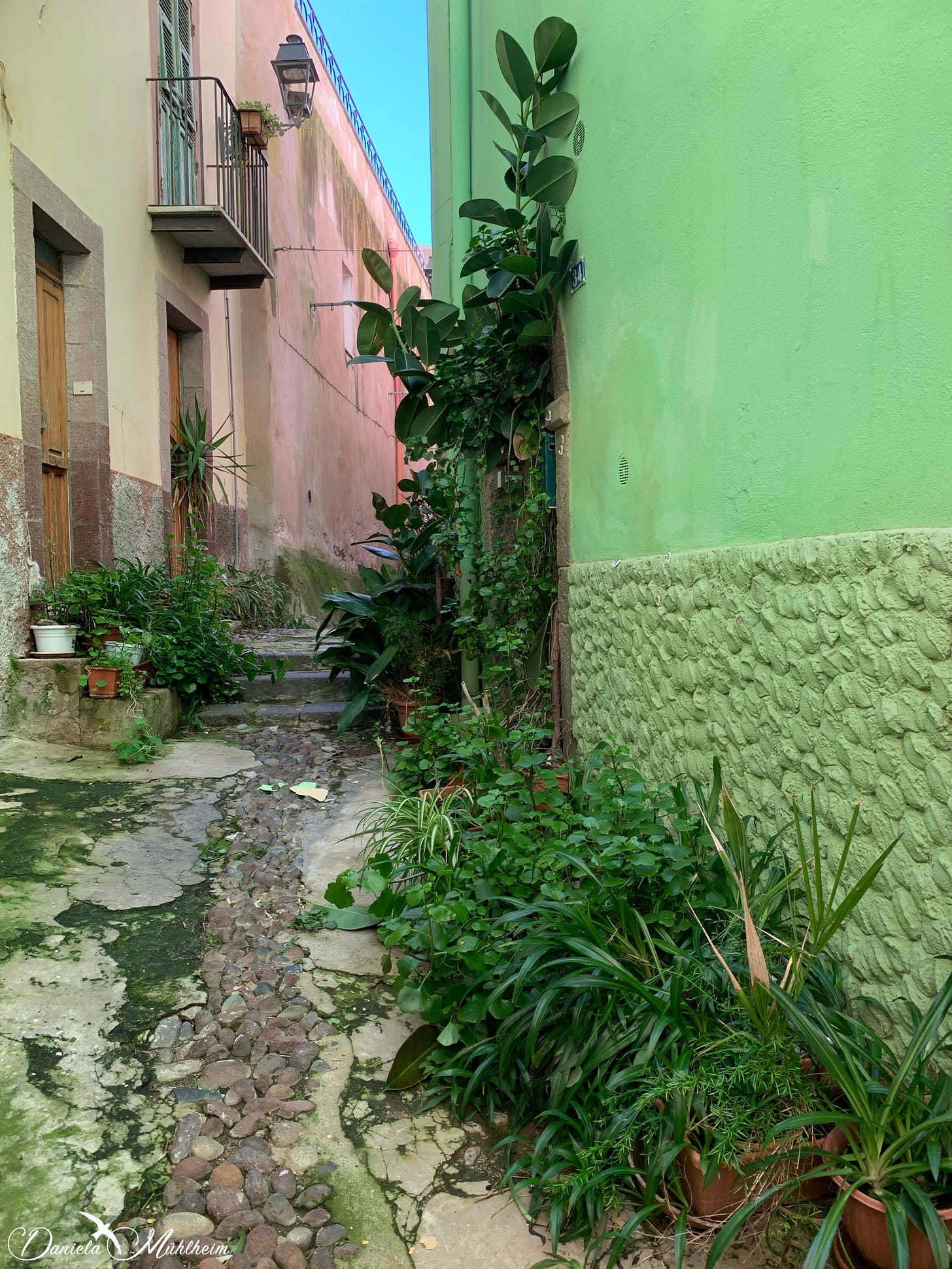 a narrow street in an italian town, houses in green rose a light yellow