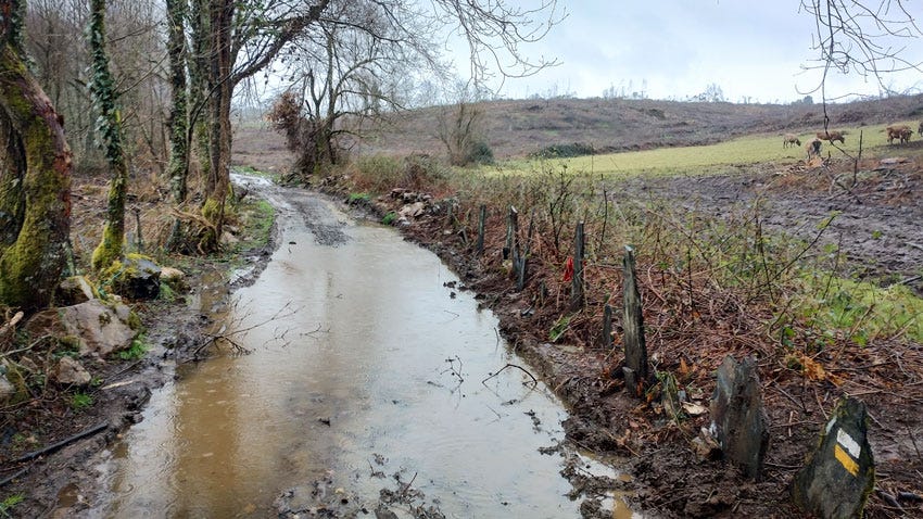 Balsas de agua en el Camino Primitivo