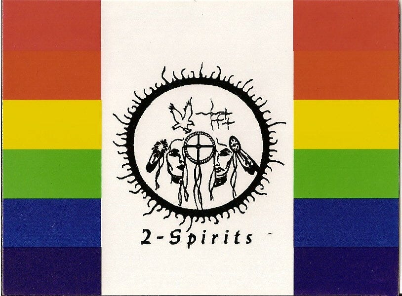 Flag representing 2 Spirits people of the 1st Nations.