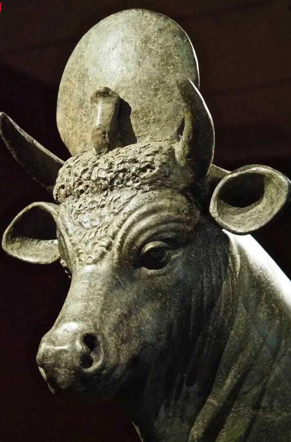 Sacred bull - Wikipedia