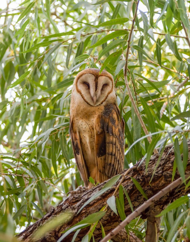 20180807_Sweetwater-38-Edit.jpg