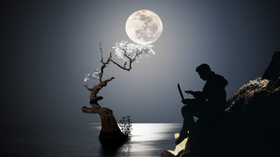 Moonlight reflects off the water. His silhouette sits on the edge of the bank looking out at the twisted trunk rising out of the water. White blossoms sprout on the topmost of the tangled branches.
