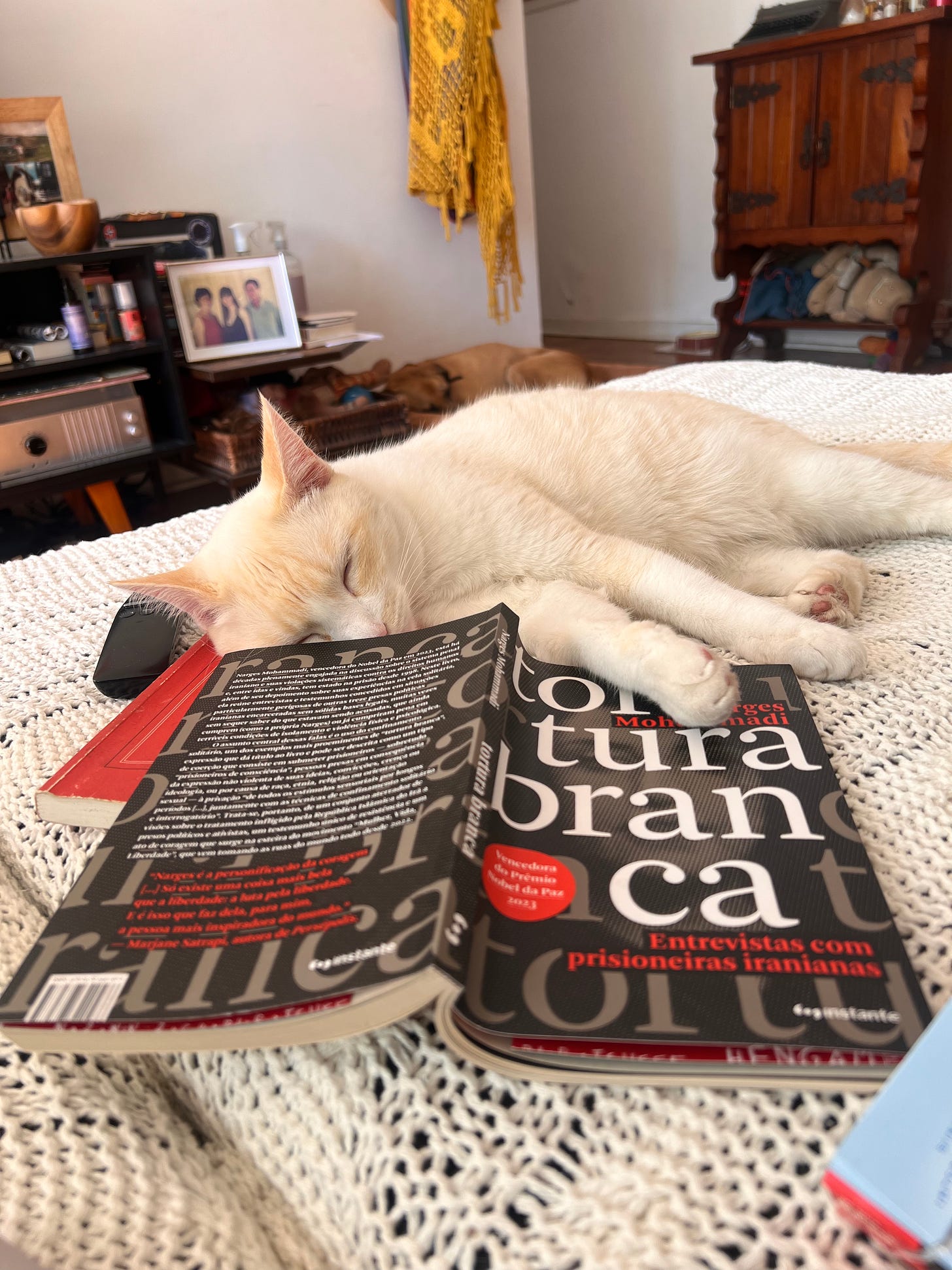 Gato Bartolomeu dorme apoiado no livro Tortura Branca, que está aberto com a capa pra cima no sofá