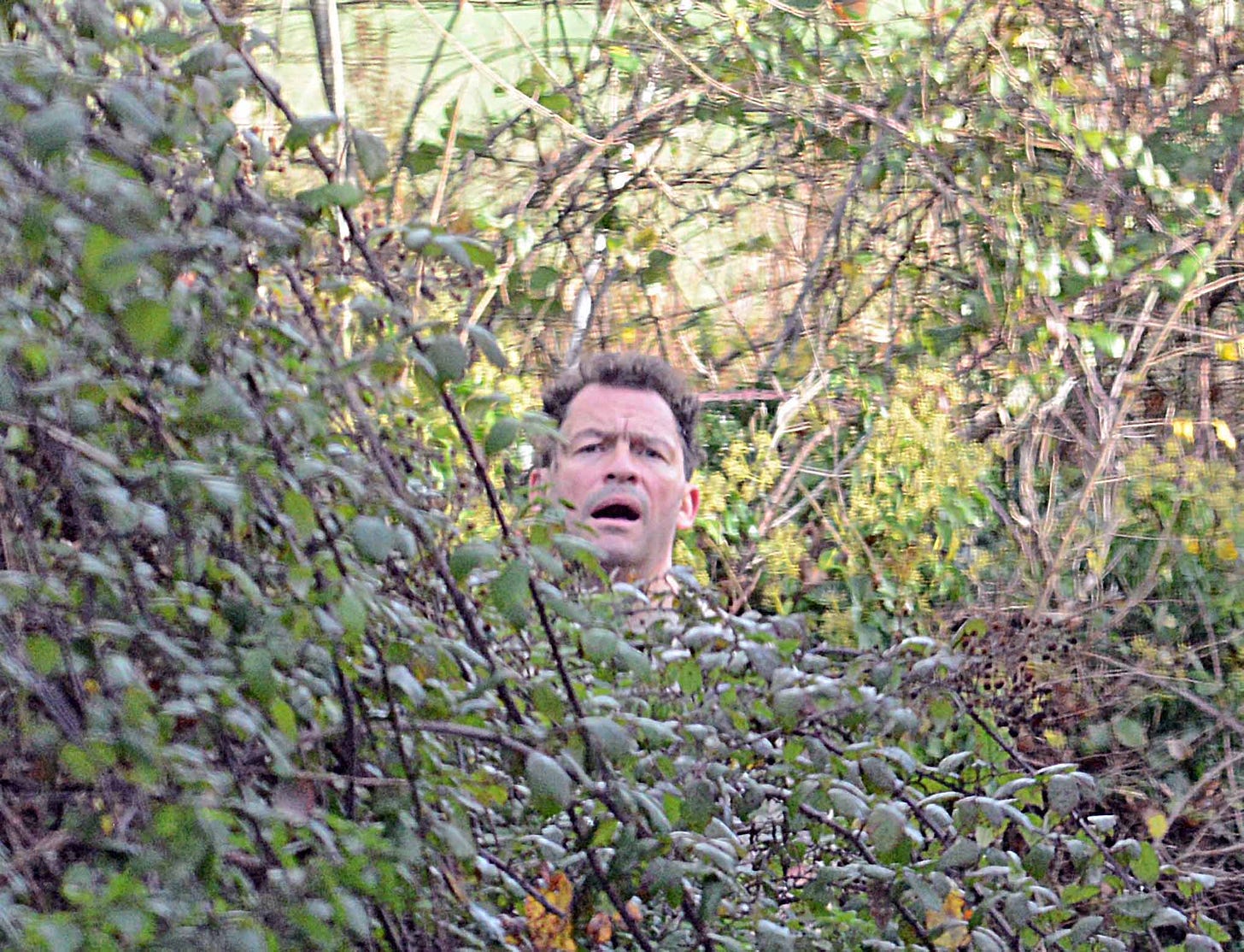 Dominic West tried to keep a low-profile as he hid in a bush
