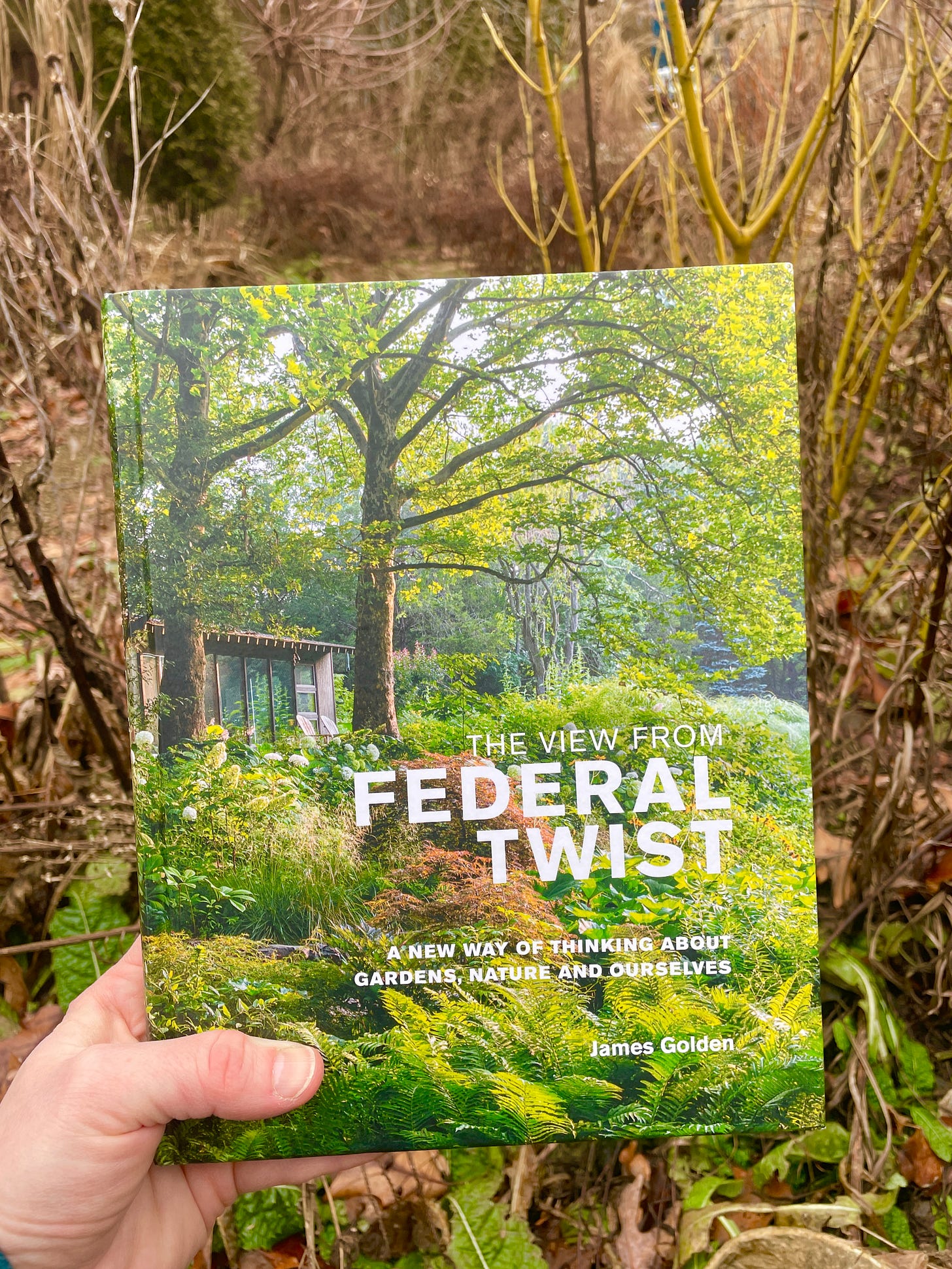 The View from Federal Twist by James Golden