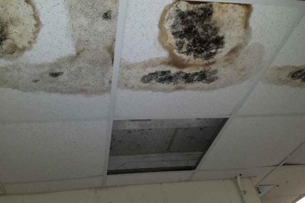 Mold Issues, Poor Housing Conditions for Troops Are Rampant. What Can  Congress Do? | Military.com