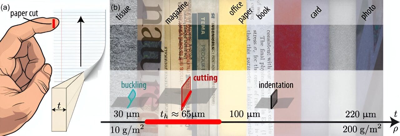 Paper types ranked by likelihood of paper cuts