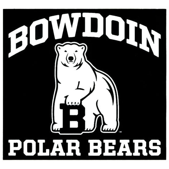 Bowdoin Polar Bears Auto Decal – The Bowdoin Store