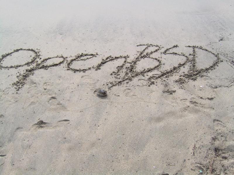 OpenBSD in the beach