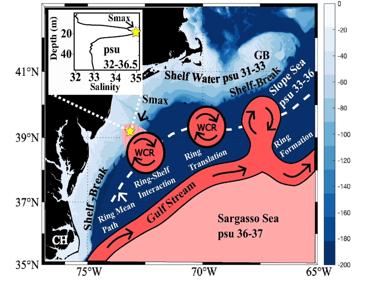 a map of the northwest atlantic from north carolina to cape cod. it shows the gulf stream in red, with clockwise-moving circles labeled "WCR" or warm-core ring. south of the gulf stream is the sargasso sea, in pink. in the top left corner, there's a little graph of salinity versus depth, showing a peak in salinity on the continental shelf near cape may, new jersey.