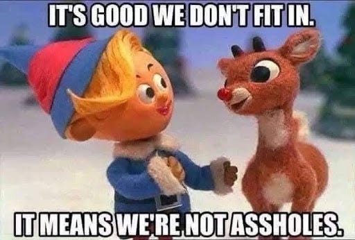 Hermey the Misfit Elf and Rudolph the Red-Nosed reindeer stand together in the snow. Caption "It's good we don't fit in. It means we're not assholes."