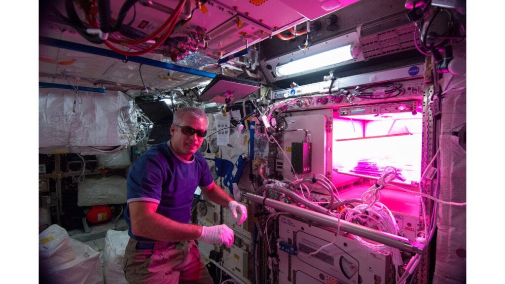 Space Biology Research