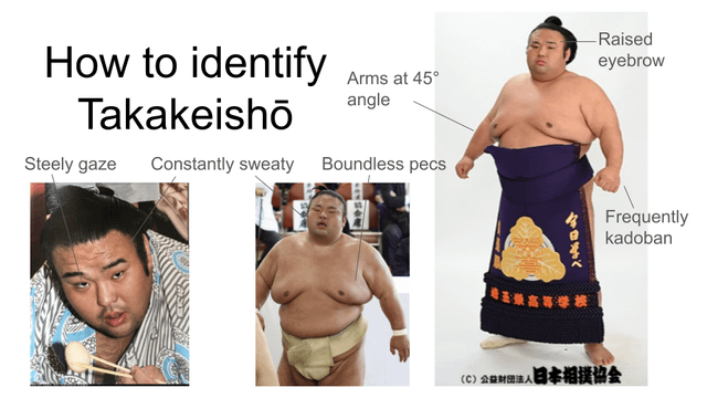 r/SumoMemes - Ask and you shall receive: more ways to identify rikishi