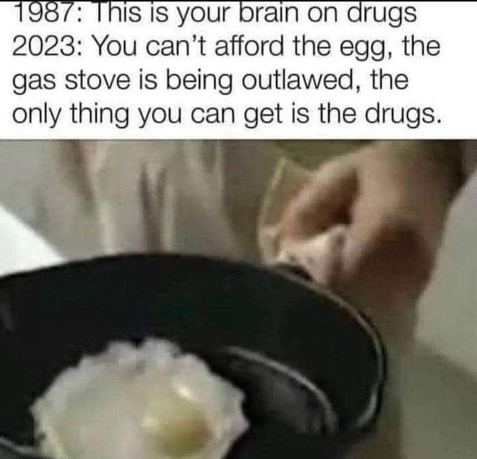 May be an image of 1 person and text that says '1987: This is your brain on drugs 2023: You can't afford the egg, the gas stove is being outlawed, the only thing you can get is the drugs.'
