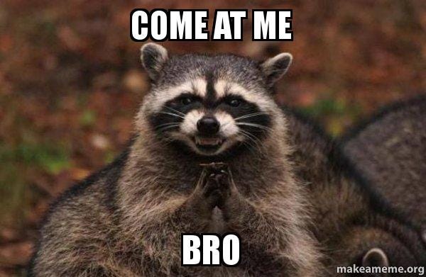 Come at me Bro - Evil Plotting Raccoon | Make a Meme