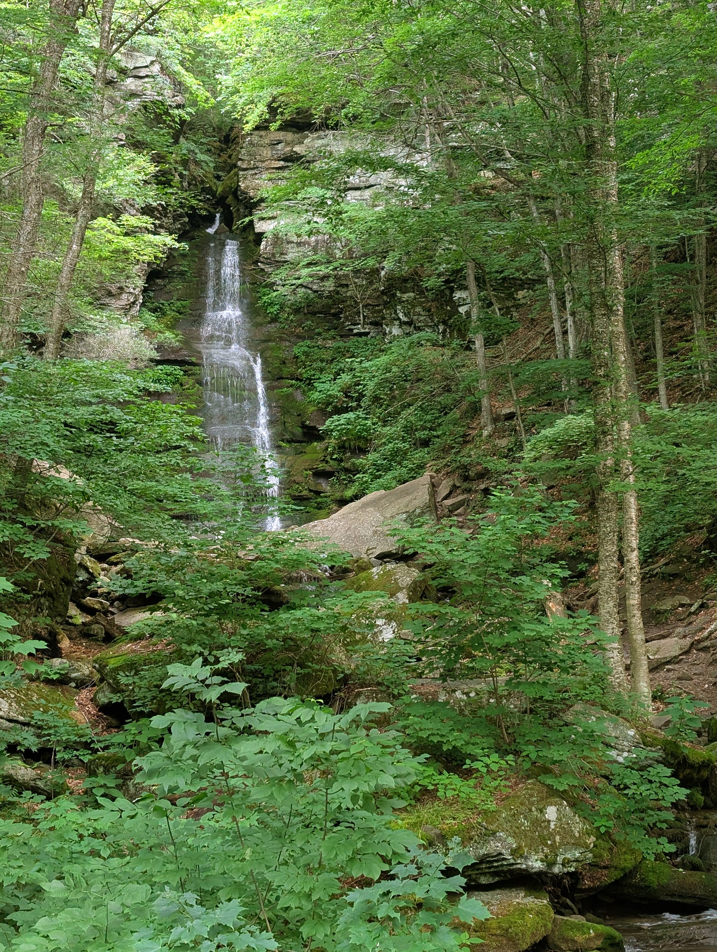 sandstone in the Catskills