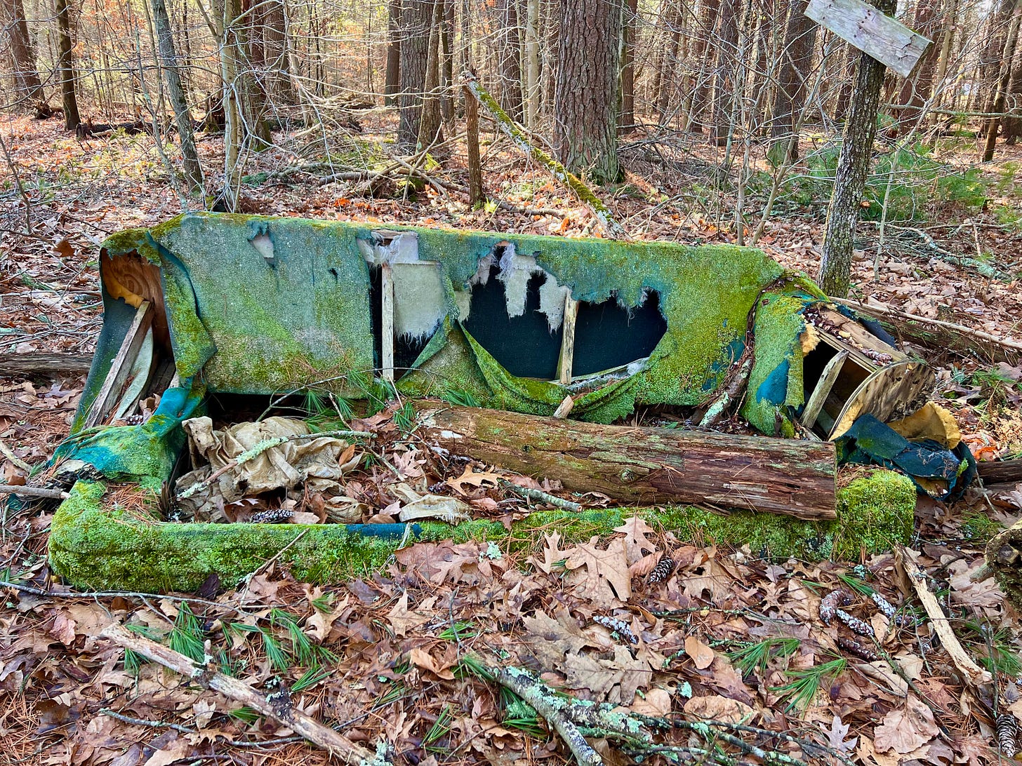 a broken down couch in the woods with green moss covering torn and rotten fabric, the seats gone and filled with wood and leaves and branches