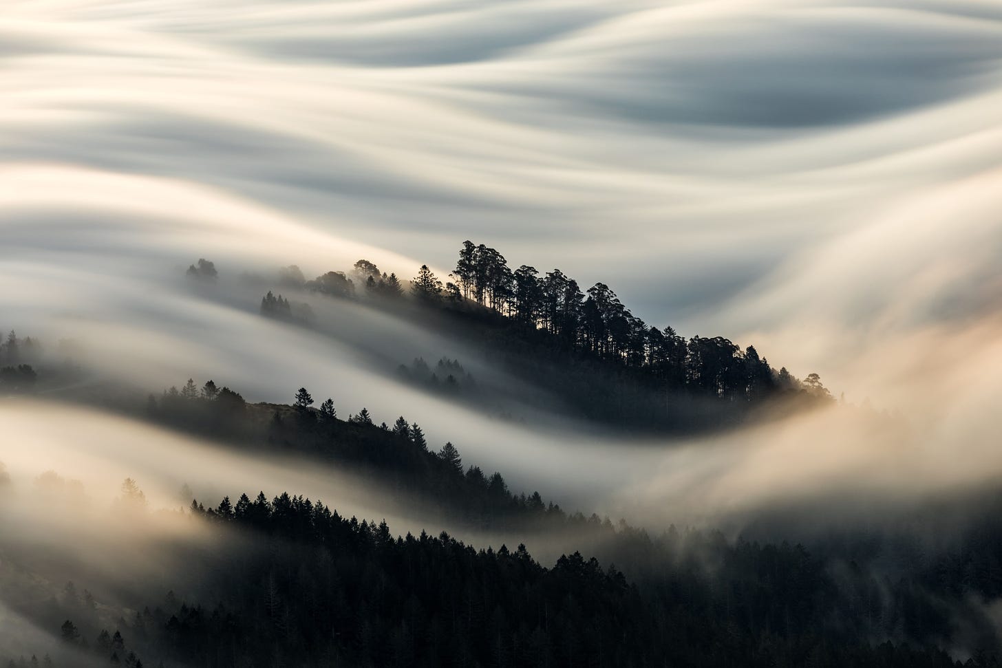 Winter Fog Image | National Geographic Your Shot Photo of the Day