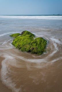 foto de longa exposição de uma pedra com musgo em uma praia