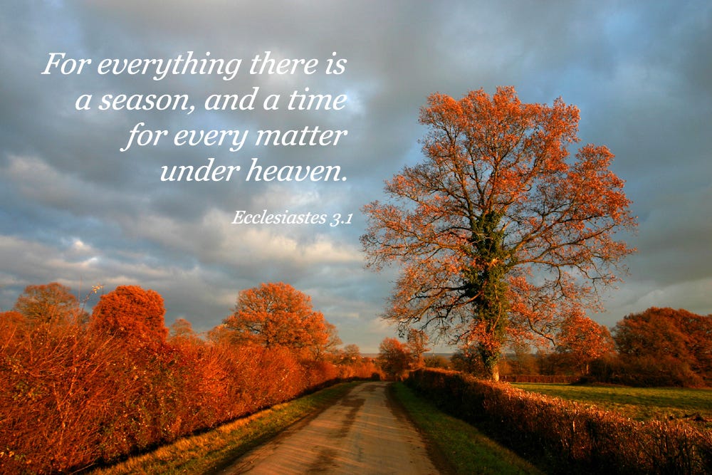 Ecclesiastes 3.1 Poster - For everything there is a season, and a time ...